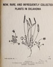 Tapa de New, rare, and infrequently collected plants in Oklahoma