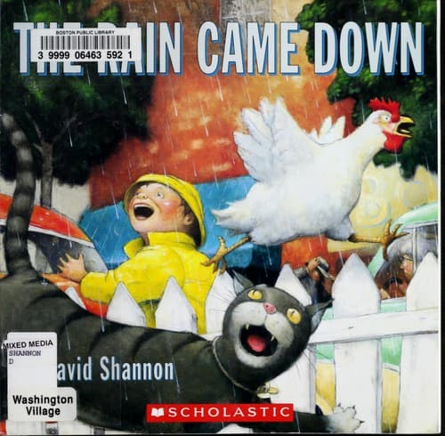 Tapa de The Rain Came Down