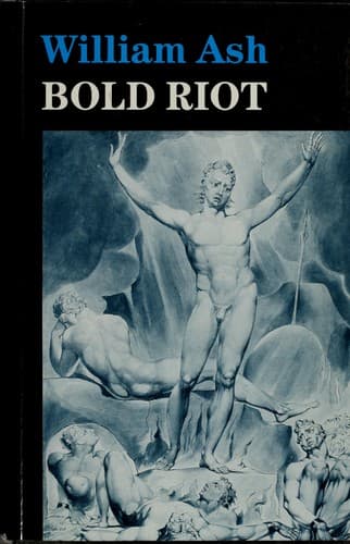 Tapa de Bold Riot