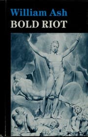 Tapa de Bold Riot