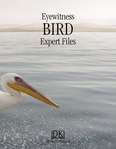 Tapa de Bird