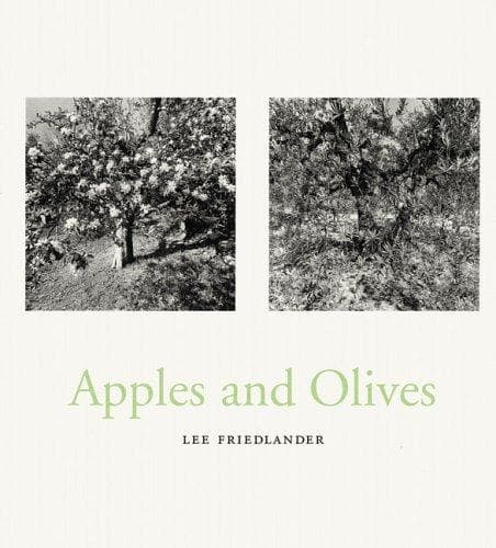 Tapa de Lee Friedlander
