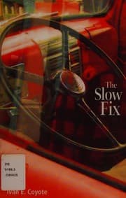 Tapa de The slow fix