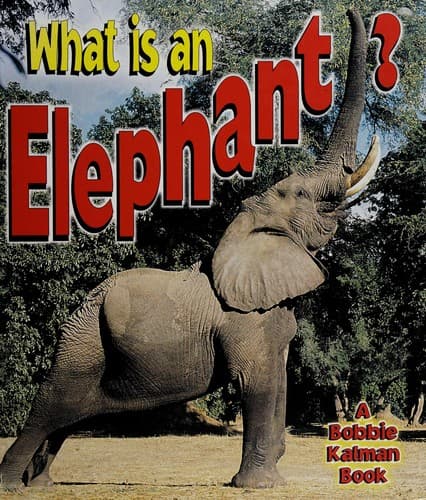 Tapa de What is an elephant?