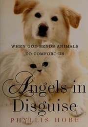 Tapa de Angels in disguise