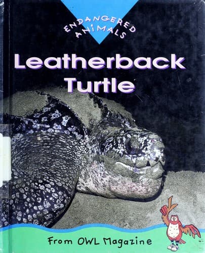Tapa de Leatherback Turtle
