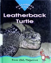 Tapa de Leatherback Turtle