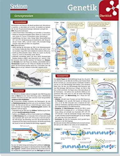 Tapa de Lerntafel