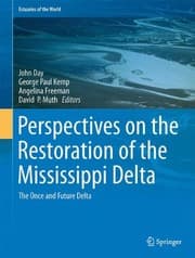 Tapa de Perspectives on the Restoration of the Mississippi Delta