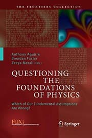 Tapa de Questioning the Foundations of Physics