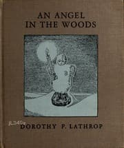 Tapa de An angel in the woods