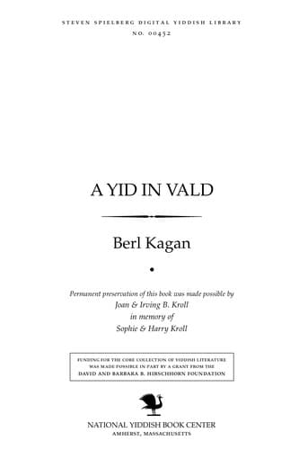 Tapa de A Yid in ṿald