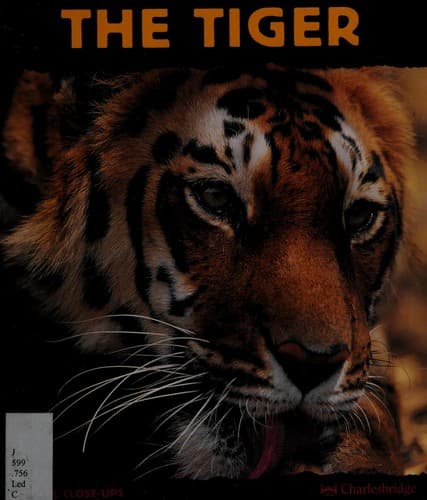 Tapa de The tiger