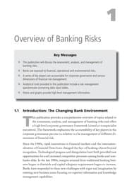 Tapa de Analyzing  banking risk