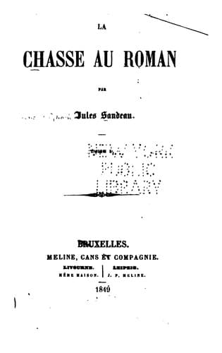 Tapa de La chasse au roman