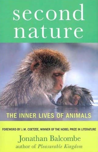 Tapa de Second nature
