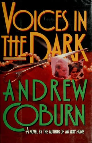 Tapa de Voices in the dark