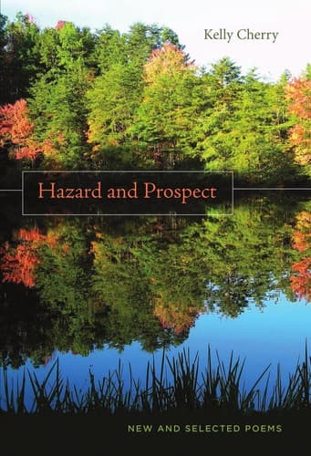 Tapa de Hazard and prospect