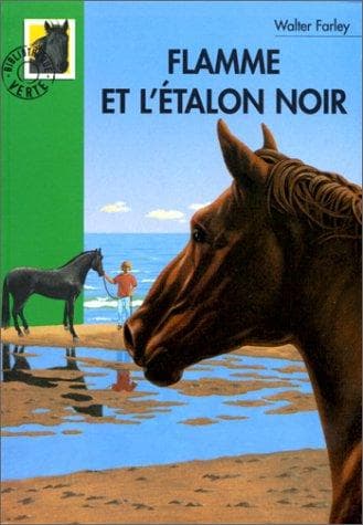 Tapa de Flamme et l'étalon noir