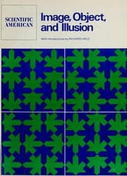 Tapa de Image, object, and illusion