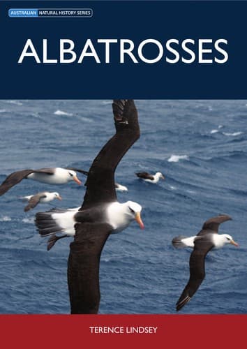 Tapa de Albatrosses