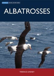 Tapa de Albatrosses
