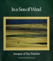 Tapa de In a sea of wind