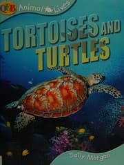 Tapa de Tortoises and turtles