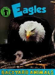 Tapa de Eagles