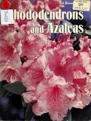 Tapa de Rhododendrons and azaleas