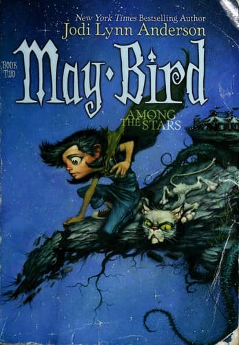 Tapa de Among the stars