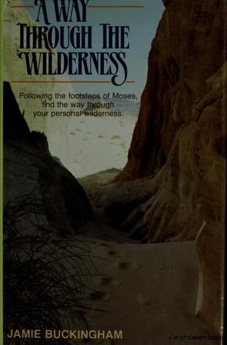 Tapa de A way through the wilderness