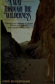 Tapa de A way through the wilderness