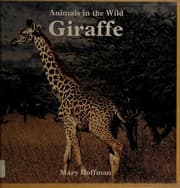 Tapa de Giraffe