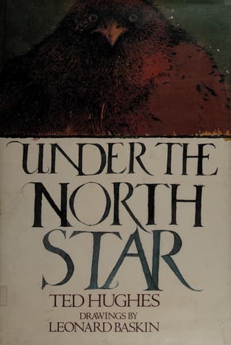 Tapa de Under the North Star