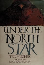 Tapa de Under the North Star