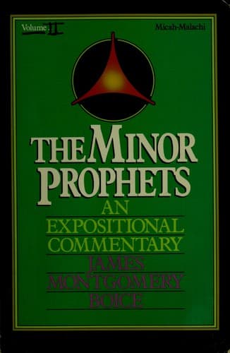 Tapa de The Minor Prophets