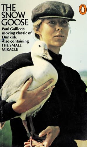 Tapa de Snow Goose, the - The Small Miracle
