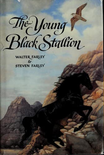 Tapa de The young black stallion