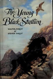 Tapa de The young black stallion