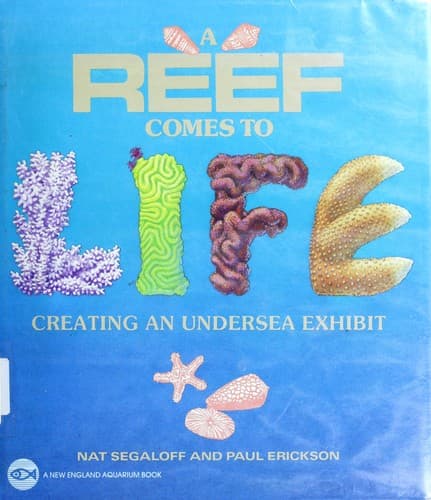 Tapa de A reef comes to life