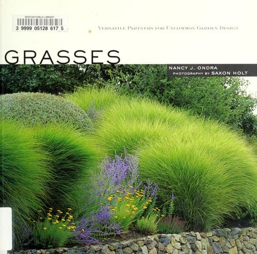 Tapa de Grasses