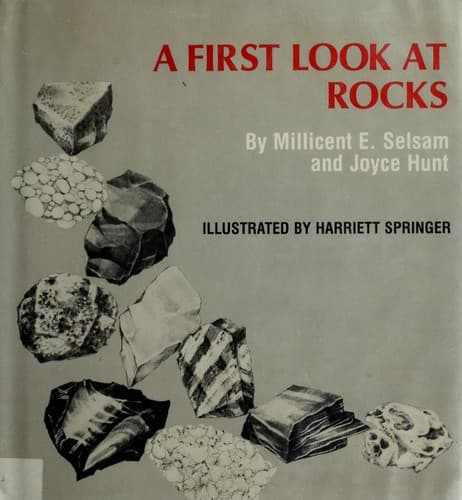 Tapa de A first look at rocks