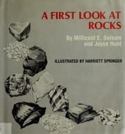 Tapa de A first look at rocks