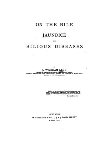 Tapa de On the bile