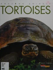 Tapa de Tortoises