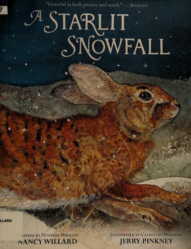 Tapa de A starlit snowfall