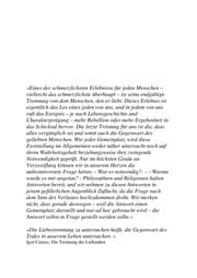 Tapa de Zeitenwende