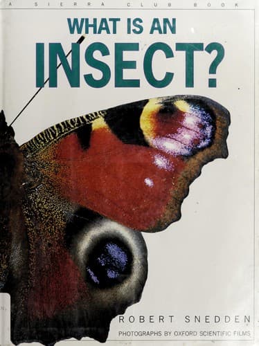 Tapa de What is an insect?