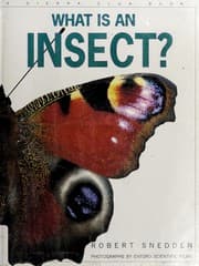 Tapa de What is an insect?